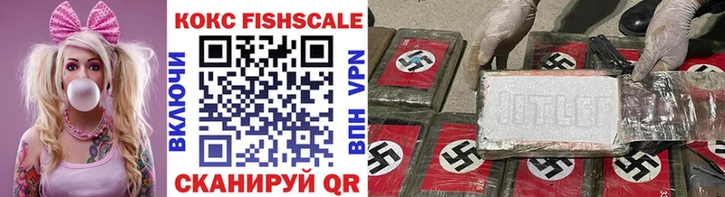 купить закладку  мега tor  COCAIN Fish Scale  Пятигорск 
