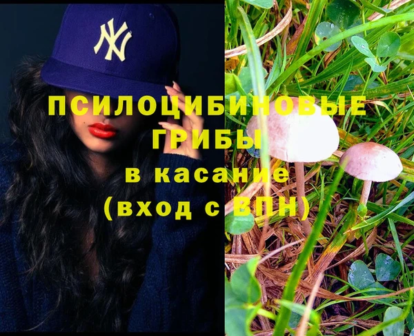 спиды Красноперекопск